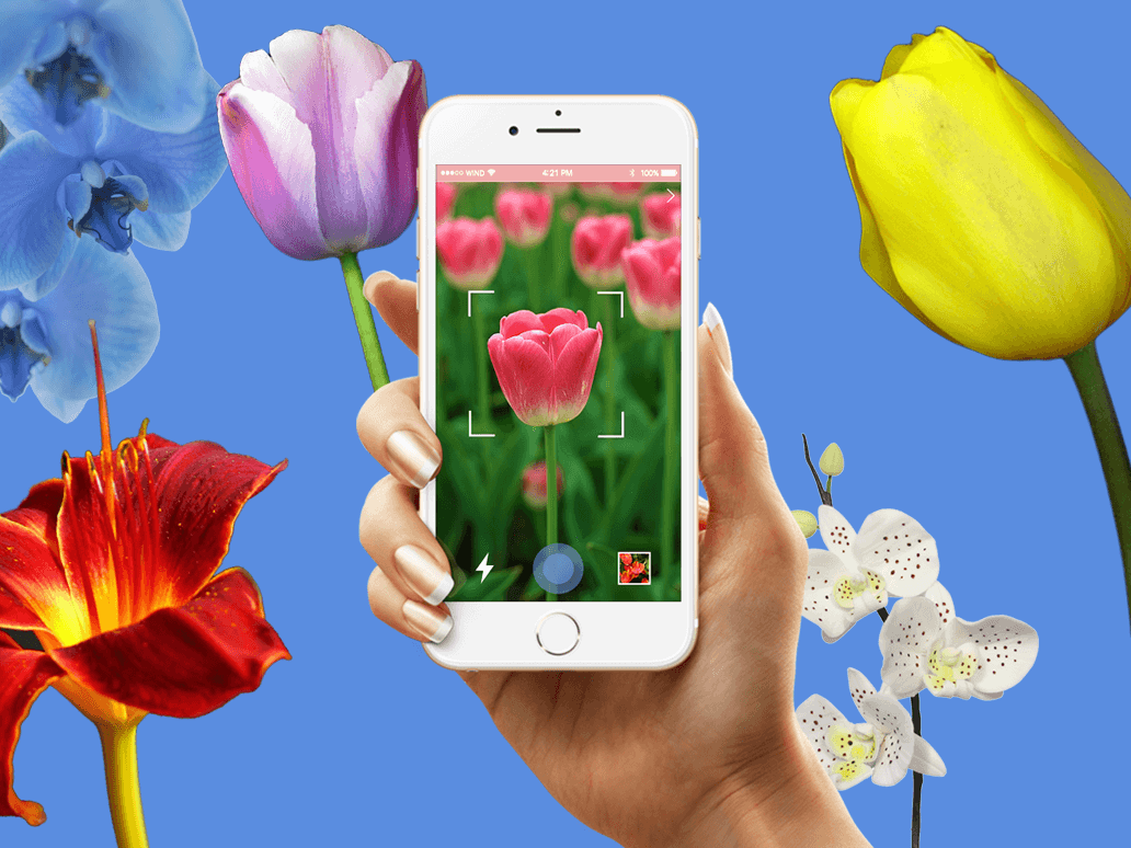 Flower Catcher mobile app prototype
